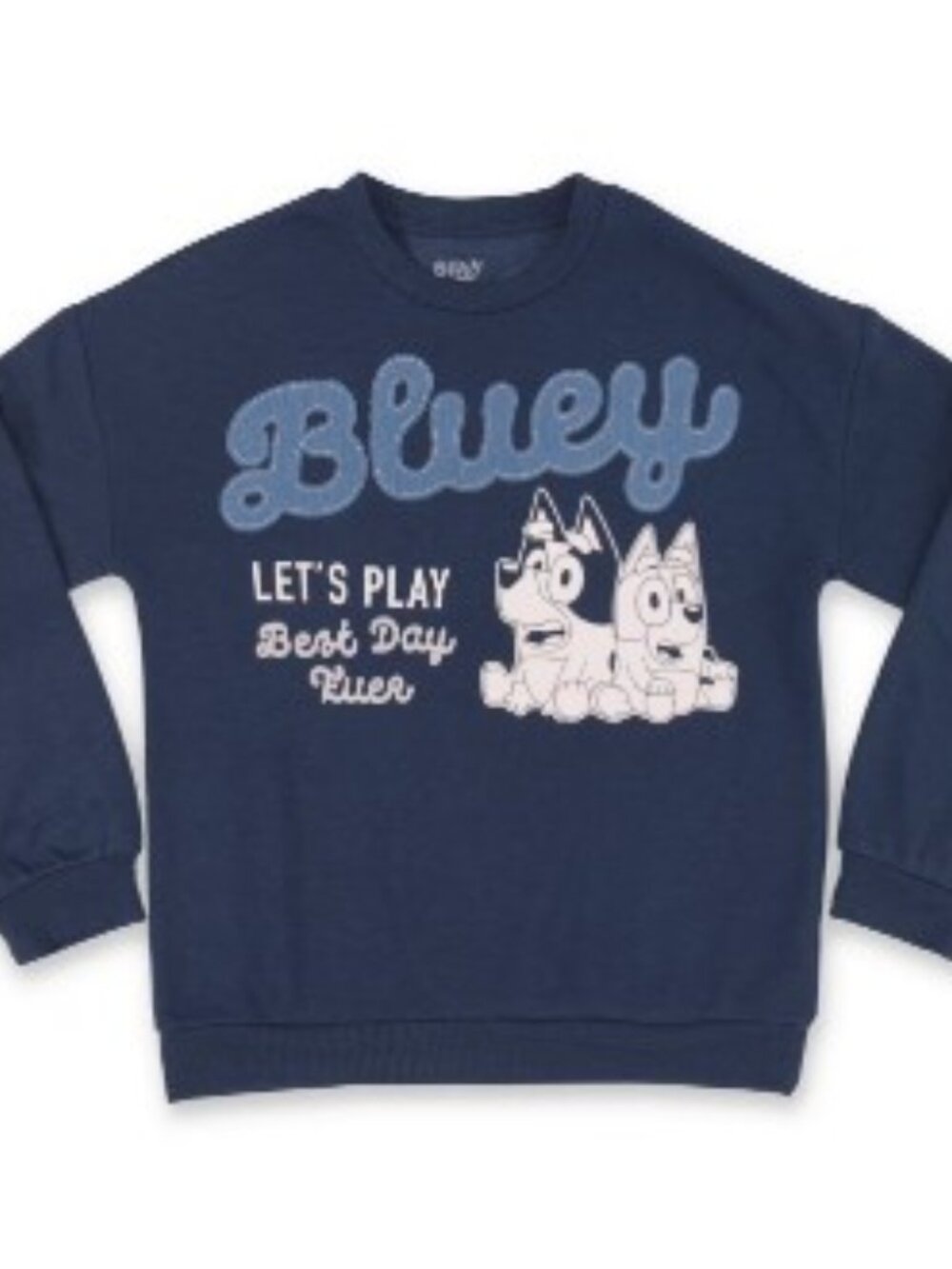 Character Boys Crewneck Sweatshirt Bluey Multiple Sizes